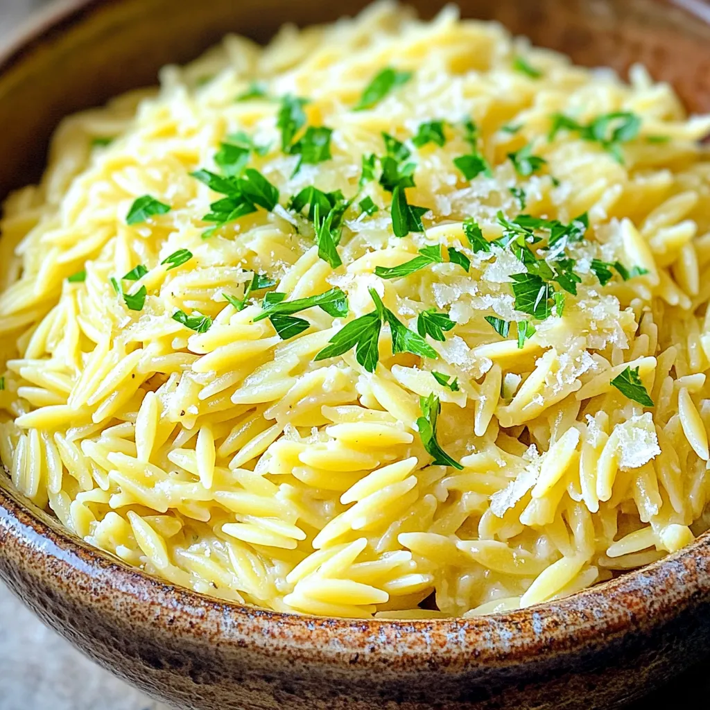 Instant Pot Creamy Garlic Parmesan Orzo Delight